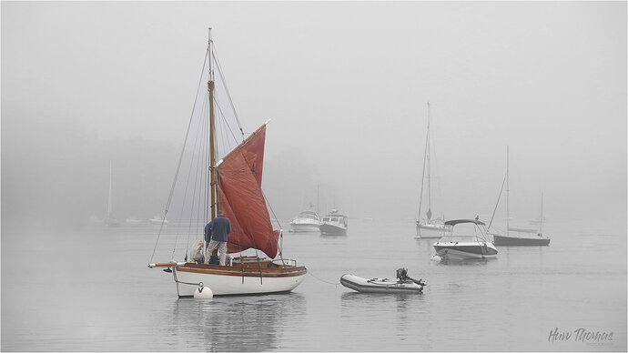 Original - Early Morning Sail Dittisham 2048.jpg