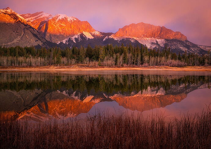 TN2025-_MG_7552-Pano NPN copy.jpg