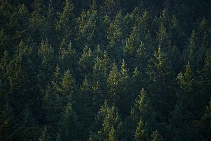 674B92CB-35FF-497B-B0CB-9FB102ACBAE7