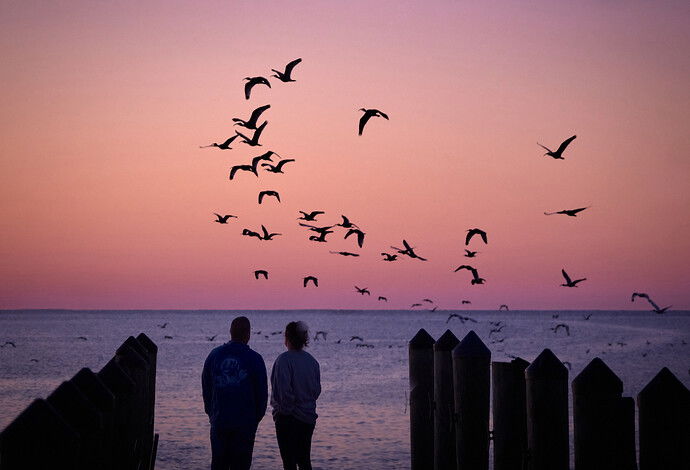 Waiting for Sunrise at Cedar Key by Kathryn Thompson.jpeg
