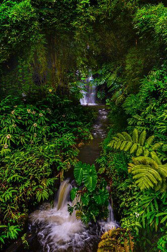 Cascades at Akaka Falls 20160904__D7K1051-1