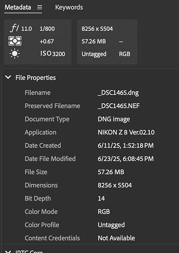 Metadata 3 horses.jpg
