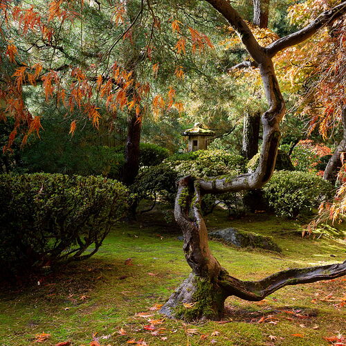 IMG5DIIIPost10k_3999NPNWebLrg-NPNWebLrg 4.9mb-2.jpg