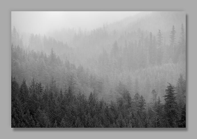 20251017 Things Unseen.jpg