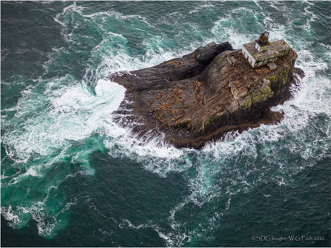 Original - Terrible-Tilly-20231003-DJI_0154-HDR-WC-26.jpg