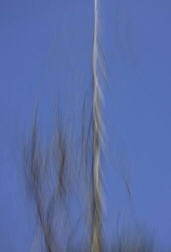 Additional image 1