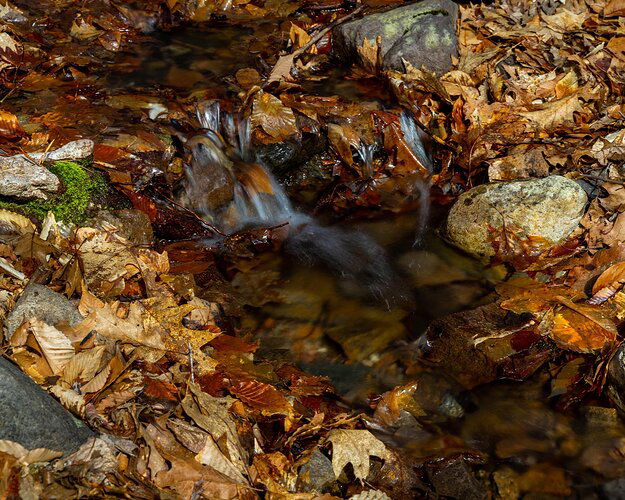 Mountain stream