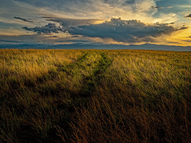 DSCF2503_DxOFFColor 1500PX