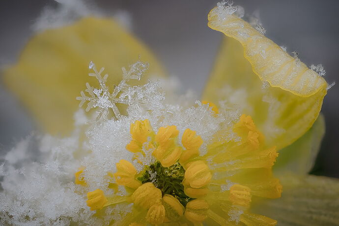 2025-04-13 16-06-03 (C,S4)-Edit-6.jpg