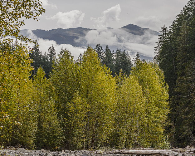 Original - Early Autum.jpg
