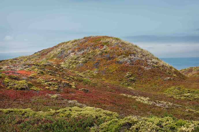 Mettup in Point Reyes