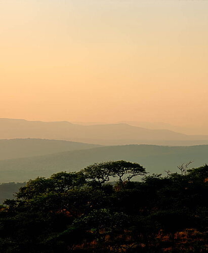 Africa (1 of 1)
