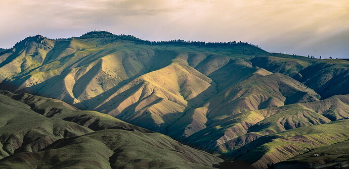 Mountain Shadows and Light-1949.jpg
