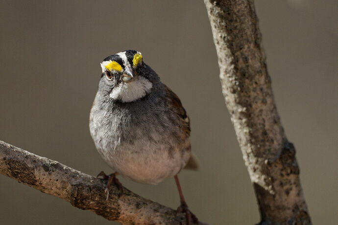 DSC_0339_DxO.jpg