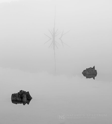 IMG_08143-111222_WM1600_BW-Web