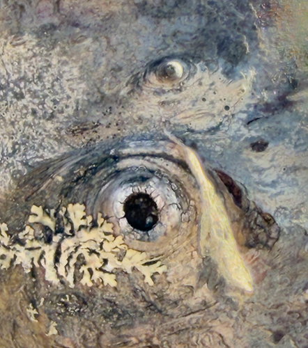 Revision 1 - Double Evil Eye-2.jpg