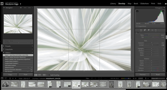Screenshot 2026-02-23 130901