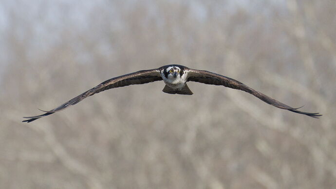 DSC_0971_DxO-1.jpg