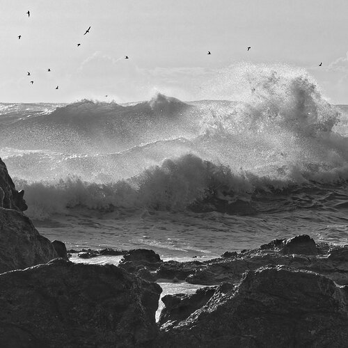 MG3635 Deadmans beach Straddie Mono V2S