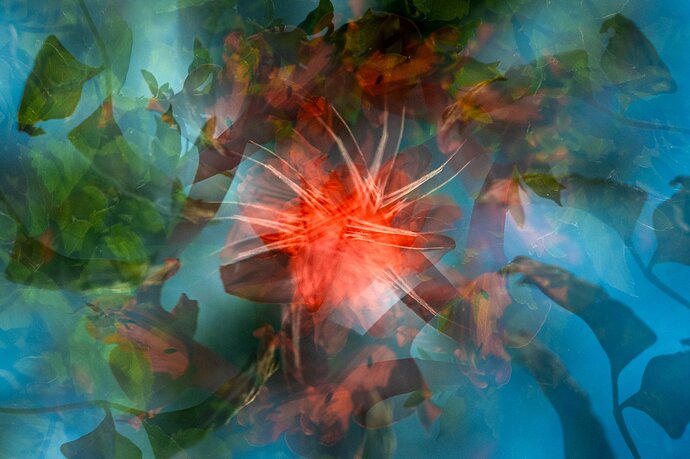 Multiple condensed (1 of 1).JPG