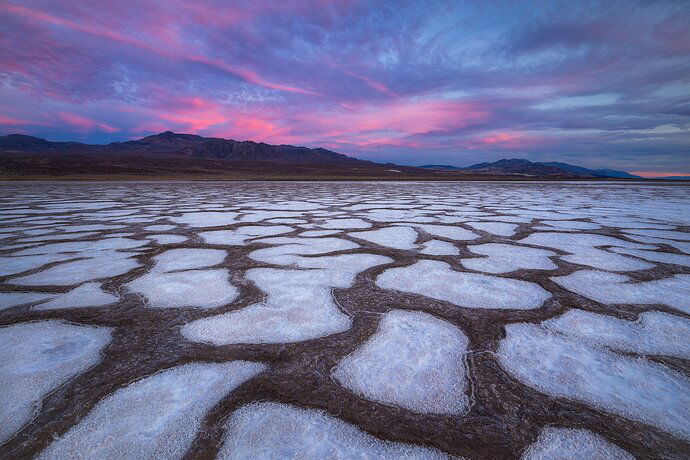 Sarah-Marino-Wide-Open-Spaces