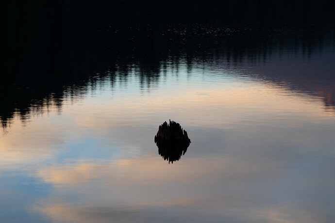 Original - IMG5DMarkIV_1224NPN3MB-NPN3Meg-2.jpg