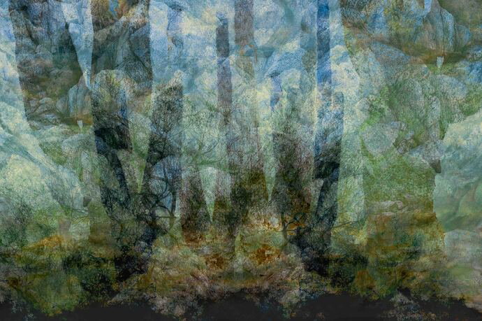 Saguaro abstract c.jpg
