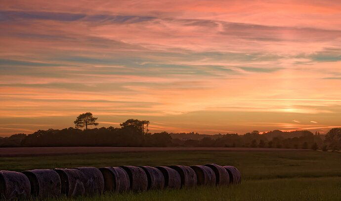 Bretagne_IGP8946-crop