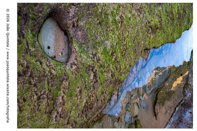 JQ_20260828_029-Edit-copy_Flickr--500px_1393x2048_U_100