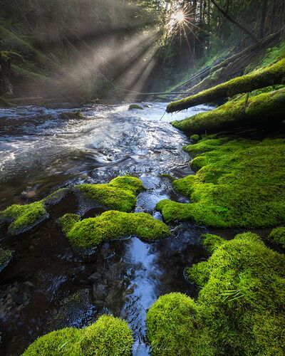 20215_06-PNW Waterfalls-375-Enhanced-NR-Edit