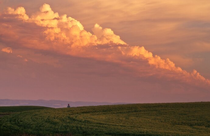 Awe in the Palouse