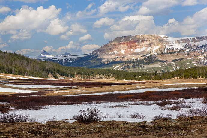 Beartooth Butte, Spring.jpg