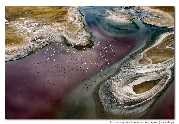 Schermafbeelding 2025-11-03 084613.png