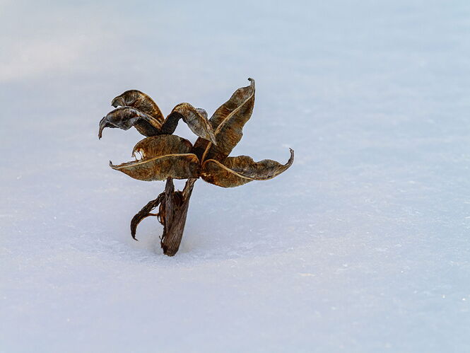 Kristen_SmithFebruary 04, 2026_1013159.jpg