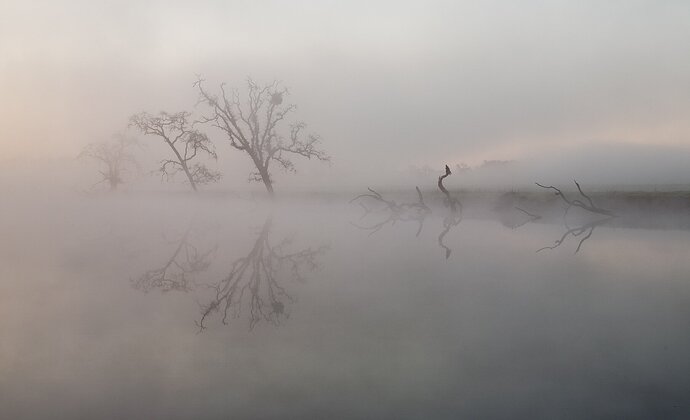 Morning fog after a flood at the Laguna