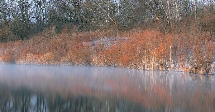 Steamy Pond