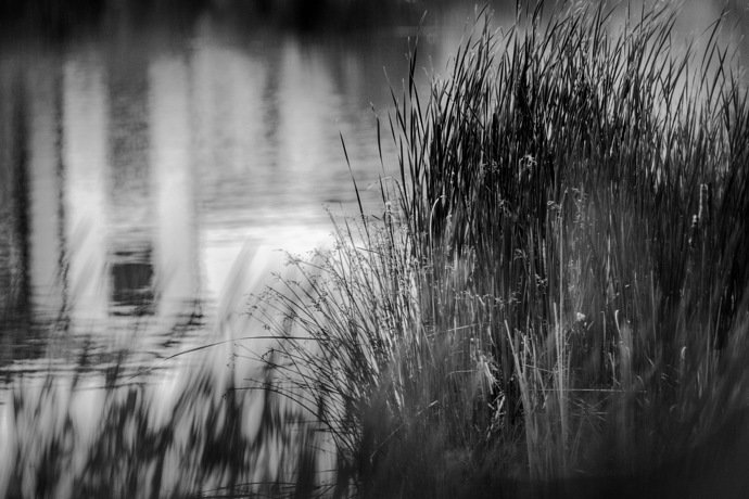 Quiet Waters