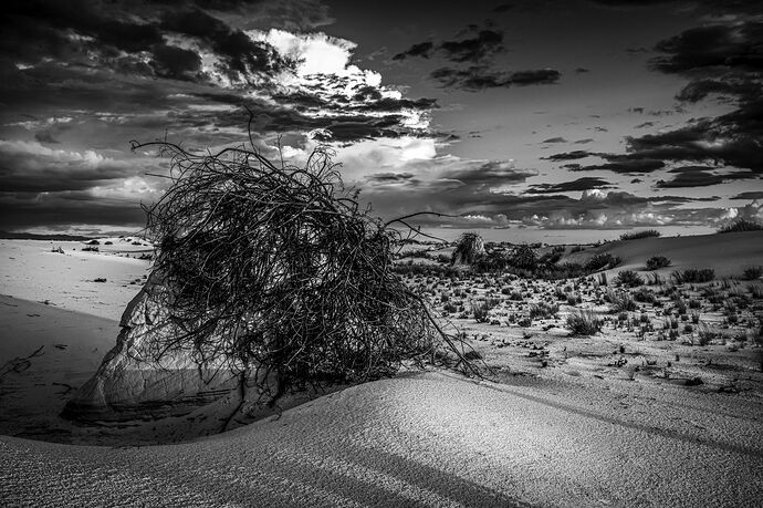 1260NewAffinityDramaticFF2048PX