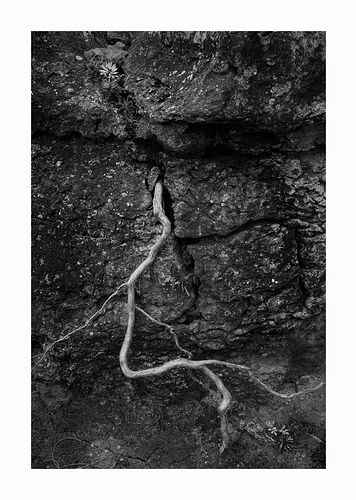 _DSC1742-Edit-copy_1301x2048_U_100_Flickr--500pxc