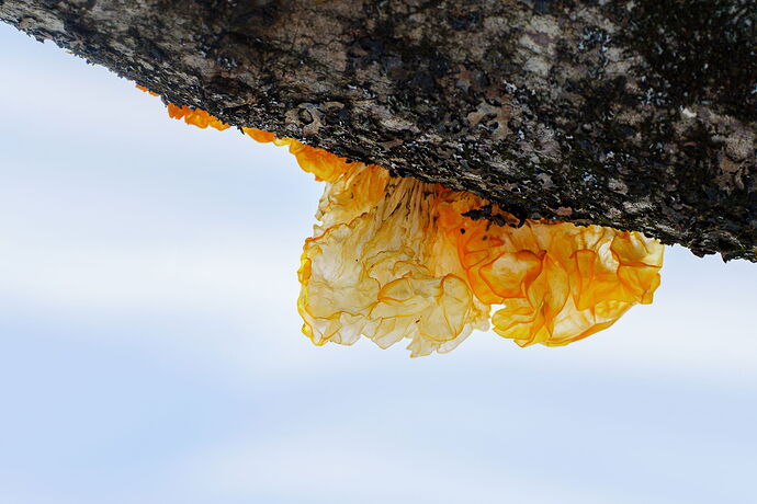 Kristen_SmithJanuary 31, 2026_1013083.jpg