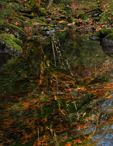 Quiet Disorientation-7