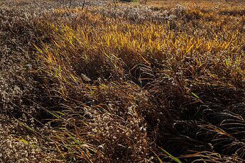 21_09_26 Grasslands Ontario Weekly Contest-6775