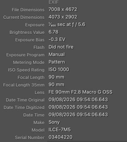 Metadata screenshot