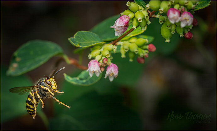 Revision 1 - 20260803-DSC00285-Edit.jpg