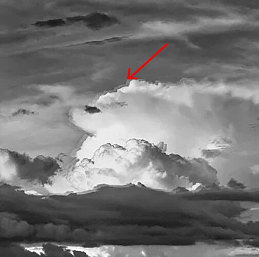 Screenshot 2026-01-28 125829 copy