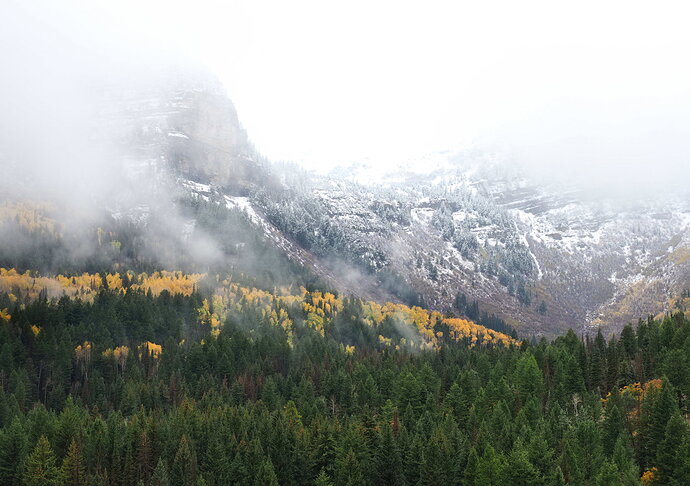 Original - 20261013-PA130844-2.jpg