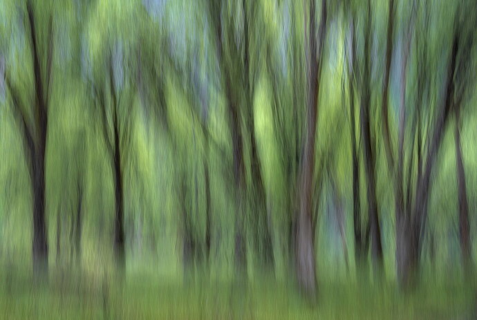 56ZS0540ICM-npn