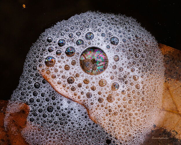 Iridescent Bubbles.jpg