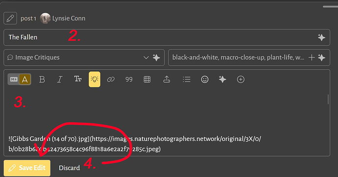 Edit Screen copy