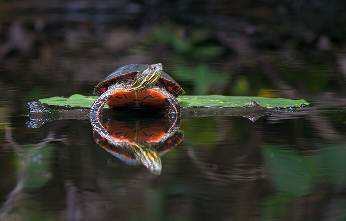 Kristen_SmithSeptember 14, 2020P1041663-Edit.jpg